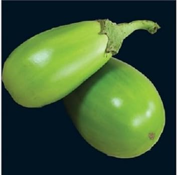 Green Eggplant Solanum melongena seeds for garden planting